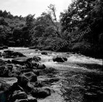 River Ure near Grewelthorpe